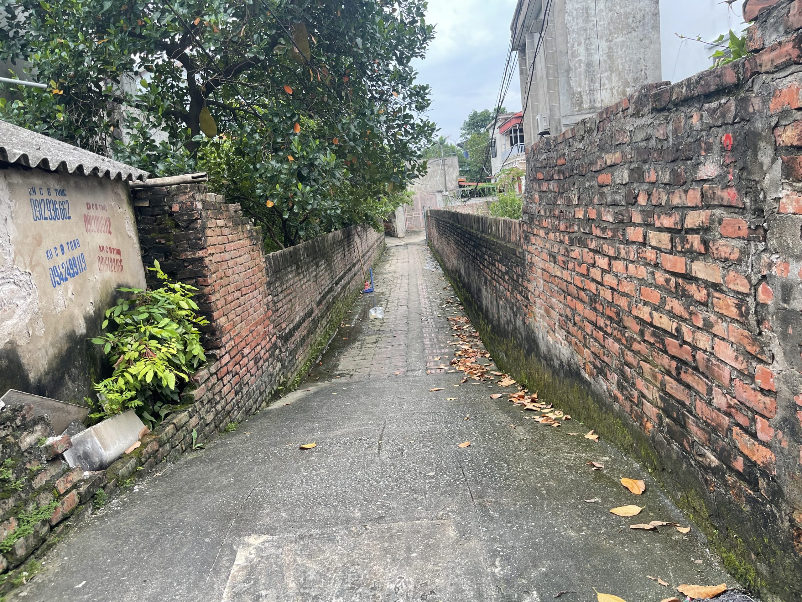 Bán 49m2 đất Xóm 2 Đông Dư Gia Lâm , ô tô đỗ cửa ngõ nông